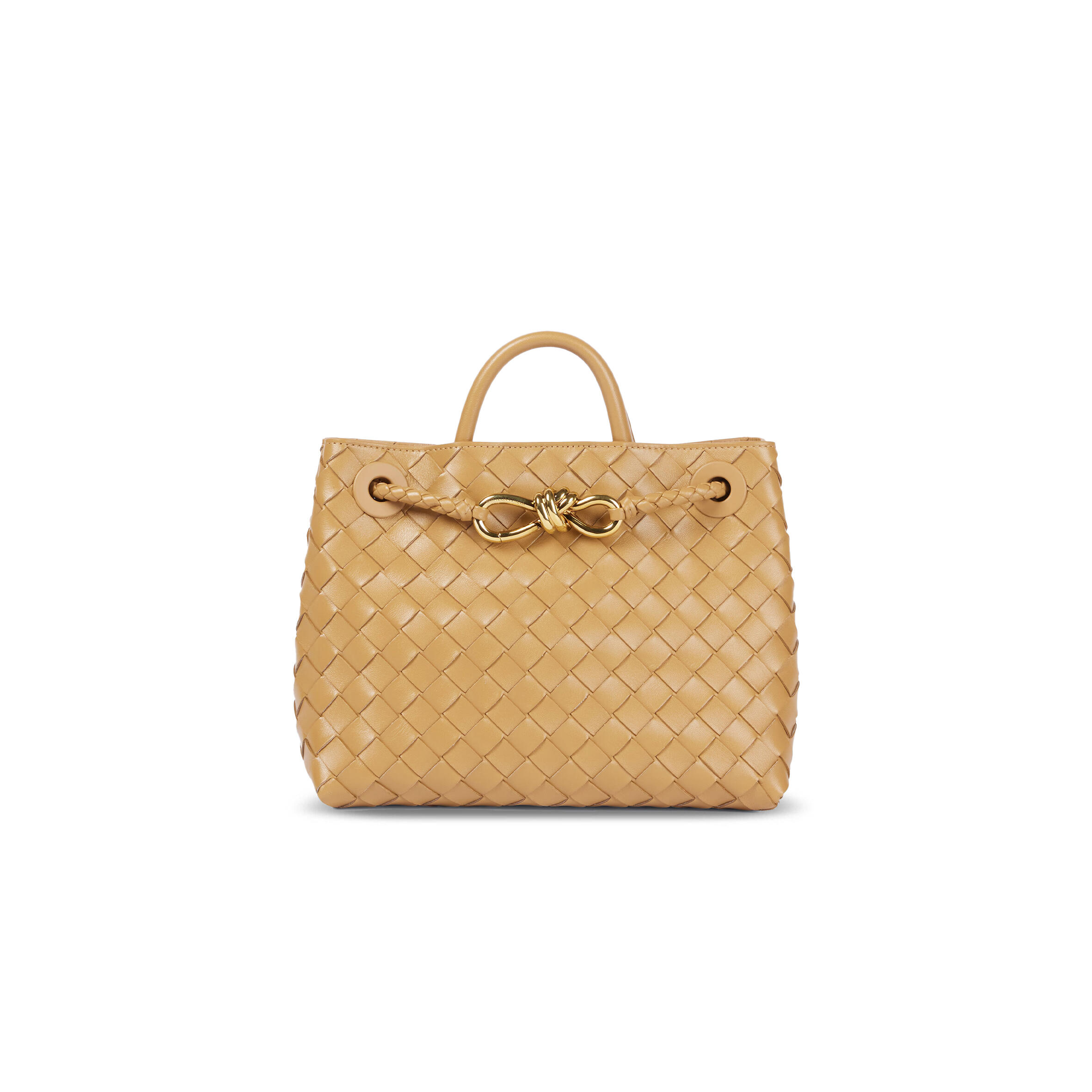 BOTTEGA VENETA SMALL ANDIAMO 743568 (25*22*10.5cm)
